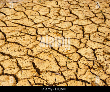 Heu auf Dürre Land, erstaunliche trockene, rissige Erde, Klima Änderung Landwirtschaft Plantage Reduct, Erwärmung ist globales Problem durch Treibhauseffekt Stockfoto