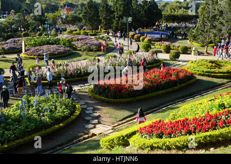 DA LAT, VIET NAM - JAN 1: Voll Szene in Dalat Blumenpark am Blumenfest im Frühling, Gruppe von Reisenden besuchen Naturgarten auf Urlaub, reine atmos Stockfoto