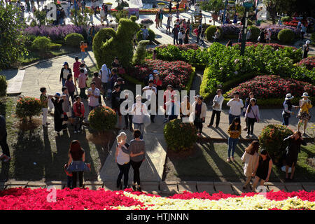 DA LAT, VIET NAM - JAN 1: Voll Szene in Dalat Blumenpark am Blumenfest im Frühling, Gruppe von Reisenden besuchen Naturgarten auf Urlaub, reine atmos Stockfoto