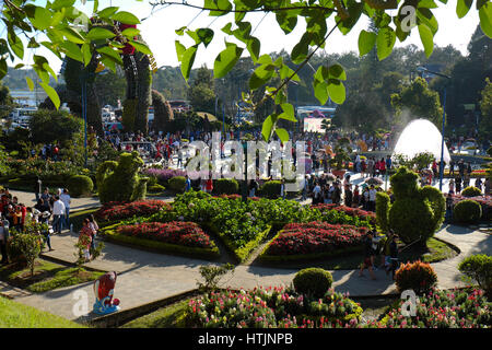 DA LAT, VIET NAM - JAN 1: Voll Szene in Dalat Blumenpark am Blumenfest im Frühling, Gruppe von Reisenden besuchen Naturgarten auf Urlaub, reine atmos Stockfoto