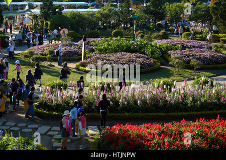 DA LAT, VIET NAM - JAN 1: Voll Szene in Dalat Blumenpark am Blumenfest im Frühling, Gruppe von Reisenden besuchen Naturgarten auf Urlaub, reine atmos Stockfoto