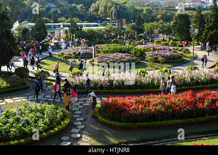 DA LAT, VIET NAM - JAN 1: Voll Szene in Dalat Blumenpark am Blumenfest im Frühling, Gruppe von Reisenden besuchen Naturgarten auf Urlaub, reine atmos Stockfoto