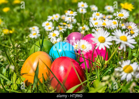 Schöne Aussicht auf die bunten Ostereier an einem sonnigen Tag auf der Wiese liegend Stockfoto