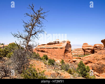 Natur-Nationalpark, Utah. Die Landschaft und die Felsen. Straßen und Propinki Park, Utah. Stockfoto