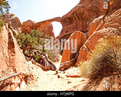 Natur-Nationalpark, Utah. Die Landschaft und die Felsen. Straßen und Propinki Park, Utah. Stockfoto