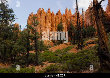 Silent City-Rock-Formation, Bryce-Canyon-Nationalpark, UT, USA Stockfoto