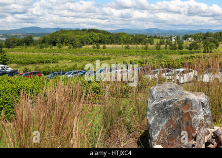 Vignoble Ste-Pétronille auf Île d'Orléans, Quebec, Kanada Stockfoto