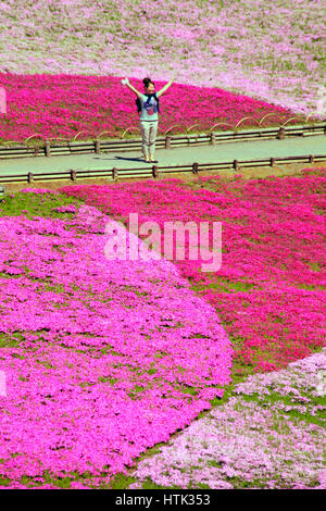 Hitsujiyama Park Shibazakura Hill Chichibu Stadt Saitama Japan Stockfoto