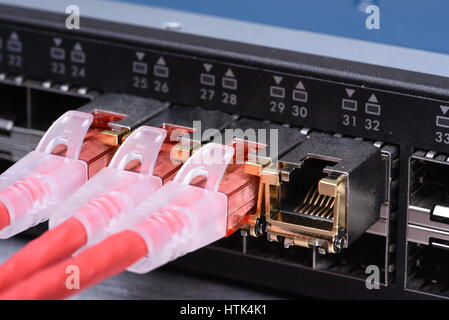 Technologie Geräte Netzwerk Switch mit Ethernet Kabel Stockfoto