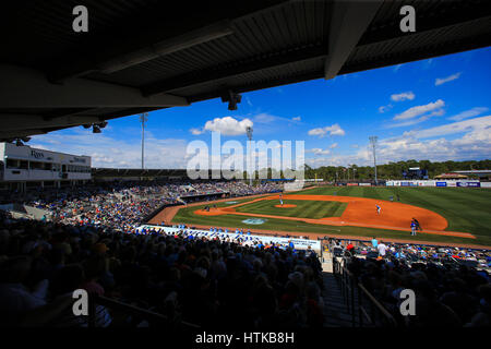 Port Charlotte, Florida, USA. 12. März 2017. WILL VRAGOVIC | Times.A Blick aus dem rechten Feld steht das Spiel zwischen der Toronto Blue Jays und die Tampa Bay Rays an Charlotte Sportpark in Port Charlotte, Florida auf Sonntag, 12. März 2017. Die Tampa Bay Rays schlagen die Toronto Blue Jays 8-2. Bildnachweis: Willen Vragovic/Tampa Bay Times / ZUMA Draht/Alamy Live News Stockfoto