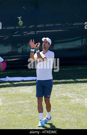 Indische Brunnen, Kalifornien, USA. 12. März 2017. Novak Djokovic Serbien erwärmt, bevor seine zweite Runde muss in das Jahr 2017 BNP Paribas Open in Indian Wells Tennis Garden in Indian Wells, Kalifornien. Charles Baus/CSM/Alamy Live-Nachrichten Stockfoto