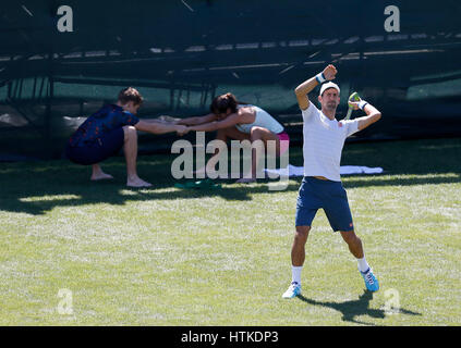 Indische Brunnen, Kalifornien, USA. 12. März 2017. Novak Djokovic Serbien erwärmt, bevor seine zweite Runde muss in das Jahr 2017 BNP Paribas Open in Indian Wells Tennis Garden in Indian Wells, Kalifornien. Charles Baus/CSM/Alamy Live-Nachrichten Stockfoto