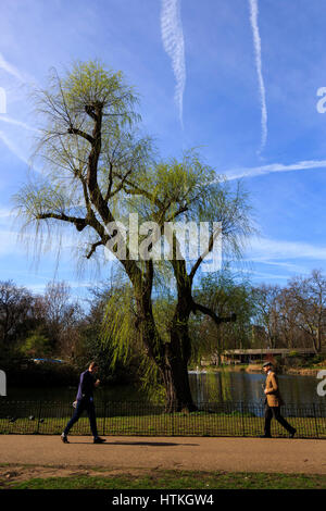 London, UK. 13. März 2017. Londoner genießen Sie einen frühlingshaften Tag mit viel Sonnenschein in St James Park. Bildnachweis: Lebendige Bilder/Alamy Live-Nachrichten Stockfoto