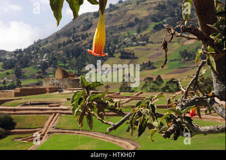 Ingapirca, Ecuador. 16. Oktober 2016. Inka Website Ingapirca gilt als der am besten erhaltenen archäologischen Website aus Inka-Zeit in der das ganze von Ecuador. Aufgenommen am 16.10.2016. Foto: Reinhard Kaufhold/Dpa-Zentralbild/ZB | weltweite Nutzung/Dpa/Alamy Live-Nachrichten Stockfoto