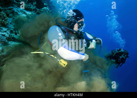 Rotes Meer, Ägypten. 7. November 2016. Männlichen Taucher Wilderer gefangen mit einer großen blaue Krake (Octopus Cyaneus), Reef Octopus Tinte, Rotes Meer, Ägypten, Afrika Kredit freigeben: Andrei Nekrassow/ZUMA Wire/ZUMAPRESS.com/Alamy Live News Stockfoto