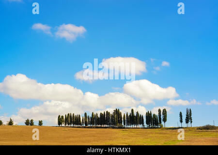 Zypressen-Zeilen auf Hügel, ländlichen Landschaft in Chianti landen in der Nähe von Florenz. Toskana, Italien, Europa. Stockfoto