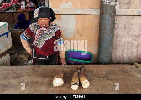 YuanYang, China - 21. Februar 2017: Hani Frau verkaufen Bambus im lokalen Markt in YuanYang Shengcun. Hani sind eine der 56 Minderheiten in China ein Stockfoto