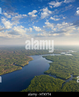Wald-Fluss Überschwemmungen Periode, Top Aussicht Stockfoto