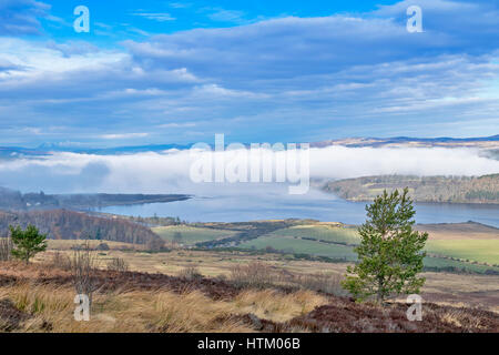 STRUIE HILL ANZEIGEN IM MÄRZ MIT CLOUD INVERSION UND MORGEN NEBEL ÜBER DEN DORNOCH FIRTH SUTHERLAND SCHOTTLAND Stockfoto