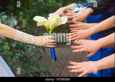 Händen der Brautjungfern sind ein Brautstrauß Callas gezogen. Stockfoto