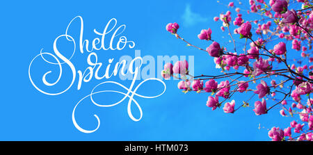 Frühling-Zweig der Magnolia rosa Blüten von Apple und Text Hallo Frühling. Kalligraphie-Schriftzug. Stockfoto