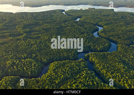 Wald-Fluss Überschwemmungen Periode, Top Aussicht Stockfoto