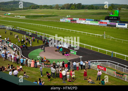 Chepstow Racecourse in Monmouthshire, Wales, Vereinigtes Königreich Stockfoto