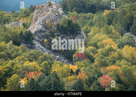 Herbstfärbung Farbsäume Charlton See, Nr. Felchen fällt, Bezirk von Sudbury, Ontario, Kanada Stockfoto