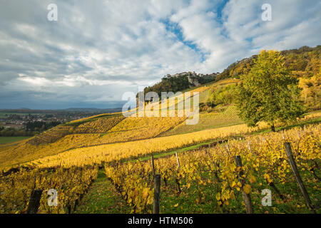 Herbstfarben in den Weinbergen rund um Château-Chalon, Jura, Franche-Comté, Frankreich Stockfoto