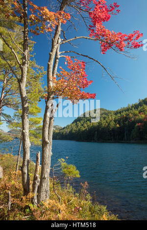 Herbstfarben am Lake Grace, Killarney Provincial Park, Ontario, Kanada Stockfoto