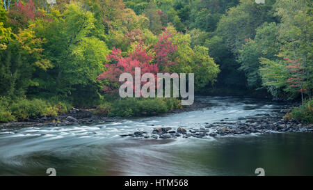 Herbstfarben entlang des Habichtsbitterkraut Flusses, Habichtsbitterkraut Rapids Park, Ontario, Kanada Stockfoto