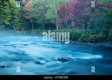 Herbstfärbung, Habichtsbitterkraut Rapids, Muskoka, Ontario, Kanada Stockfoto