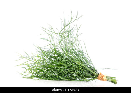 Frischer Dill Zweige auf weiß. Kopieren Sie Raum nach rechts. Stockfoto