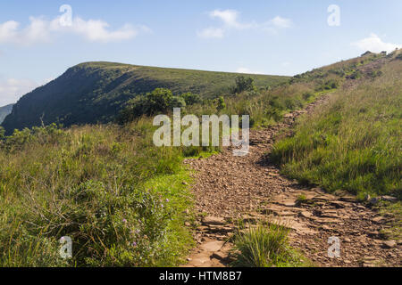 Trail und Vegetation rund um Fortaleza Canyon, Cambara do Sul, Rio Grande do Sul, Brasilien Stockfoto