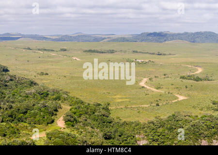 Trail und Vegetation rund um Fortaleza Canyon, Cambara do Sul, Rio Grande do Sul, Brasilien Stockfoto