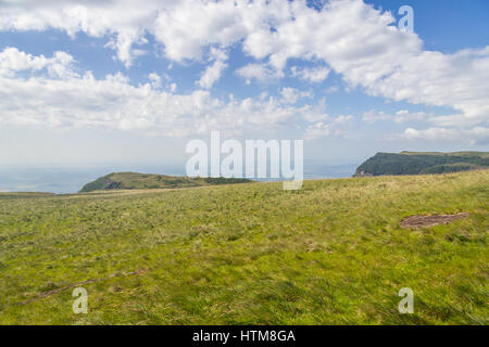 Vegetation rund um Fortaleza Canyon, Cambara do Sul, Rio Grande do Sul, Brasilien Stockfoto