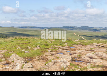 Trail und Vegetation rund um Fortaleza Canyon, Cambara do Sul, Rio Grande do Sul, Brasilien Stockfoto