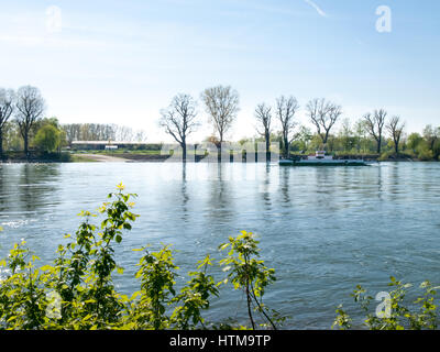 Buelhl am Rhein, Deutschland: Barge für Containertransporte auf dem Rhein Stockfoto