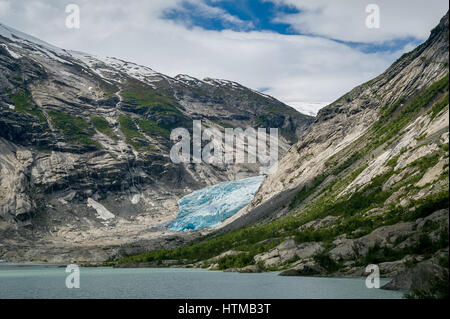 Nigardsbreen Gletscher Landschaft Stockfoto