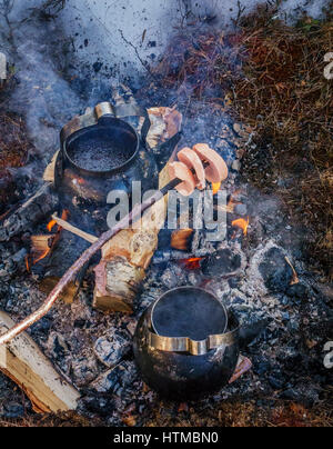 Rentier-Wurst, Lappland Gästehaus in Kangos, Lappland, Schweden Stockfoto