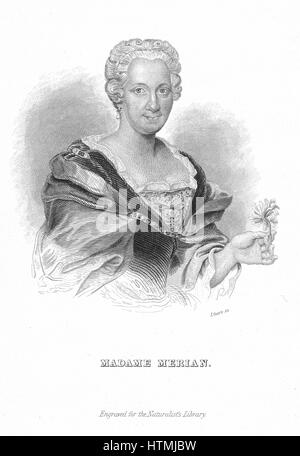Maria Sibylla Merian (1647-1717) deutscher Naturforscher und Blume Maler. Gravur Stockfoto