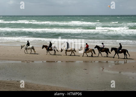 Gruppe von Menschen zu befreien, Pferde auf einem Strand im Sommer in Dänemark Stockfoto