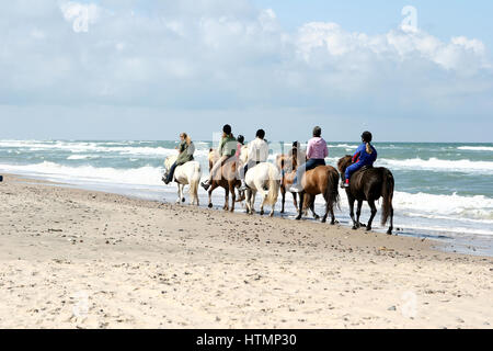 Gruppe von Menschen zu befreien, Pferde auf einem Strand im Sommer in Dänemark Stockfoto