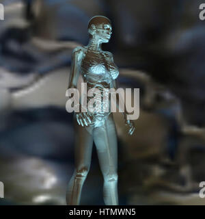 Digitale 3D Rendering der weiblichen Anatomie Stockfoto
