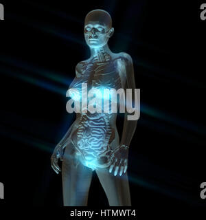 Digitale 3D Rendering der weiblichen Anatomie Stockfoto
