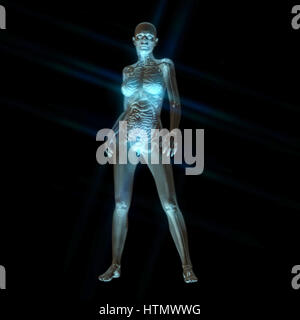 Digitale 3D Rendering der weiblichen Anatomie Stockfoto