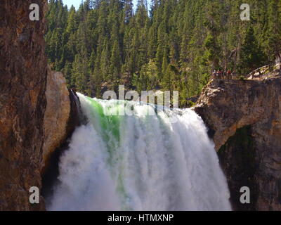 Lower Yellowstone Falls, einer der schönsten Wasserfälle von Nordamerika Stockfoto