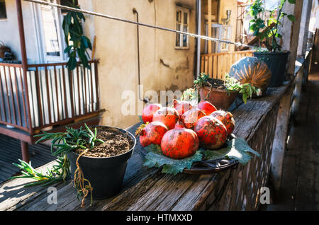 Granatapfel auf einem Teller auf der Terrasse an einem sonnigen Tag. Stillleben aus Granatäpfeln. Granatäpfel in einem georgianischen Gebäude. Stockfoto