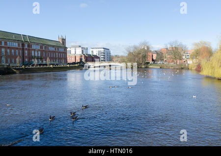 Der Fluss Derwent in Derby Riverside Gardens im Zentrum von Derby Stockfoto