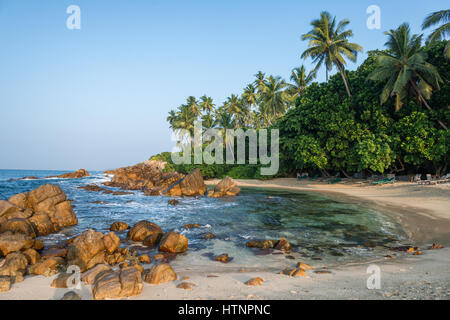 Kleine schöne Lagune mit Palmen und Sandstrand in Sri Lanka Stockfoto